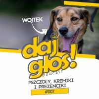 Daj Głos #007: Pszczoły, kremiki i prezenciki