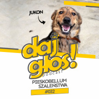 Daj Głos #032: Pieskobellum szaleństwa