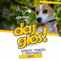 Daj Głos #012: Dzbany, poroża i psiemarsze