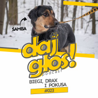 Daj Głos #023: Biegi, Drax i pokusa