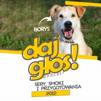 Daj Głos #010: Sery, smoki i przygotowania