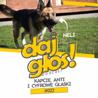 Daj Głos #022: Kapcie, Anti i cyfrowe głaski