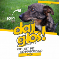 Daj Głos #009: Kim jest psi behawiorysta?