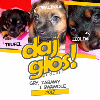 Daj Głos #017: Gry, zabawy i swawole