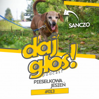 Daj Głos #013: Piesełkowa jesień