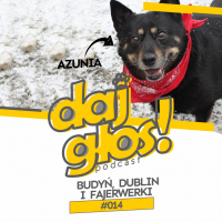 Daj Głos #014: Budyń, Dublin i fajerwerki