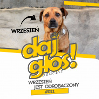 Daj Głos #011: Wrzesień jest odrobaczony