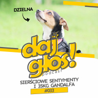 Daj Głos #033: Sierściowe sentymenty i 35kg Gandalfa