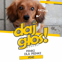 Daj Głos #40: Pinki dla psinki