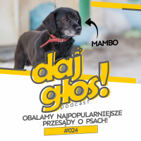Daj Głos #024: Obalamy najpopularniejsze przesądy o psach!