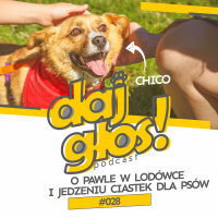 Daj Głos #028: O Pawle w lodówce i jedzeniu ciastek dla psów