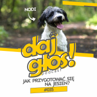 Daj Głos #035: Jak przygotować się na jesień?