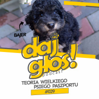 Daj Głos #029: Teoria Wielkiego Psiego Paszportu