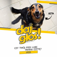Daj Głos #025: Czy twój pies lubi Panna Cottę?