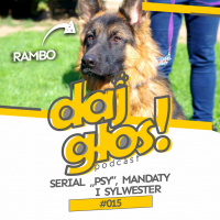 Daj Głos #015: Serial “Psy”, mandaty i Sylwester