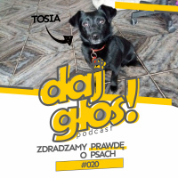 Daj Głos #020: Zdradzamy PRAWDĘ o psach