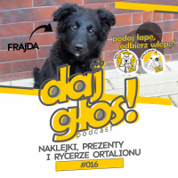 Daj Głos! #016: Naklejki, prezenty i rycerze ortalionu
