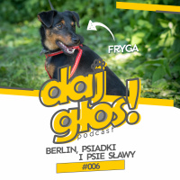 Daj Głos #006 – Berlin, psiadki i psie sławy
