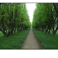 Episodio 9 El Obstáculo es el Camino / Ryan Holiday 1/2