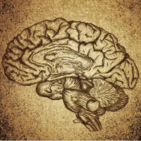 Episodio 24 “Entrena a tu cerebro para el éxito: cómo un cerebro sano es la clave de la felicidad y mejor salud” Dr. Germán Garcia Fresco