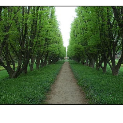 Mentalización Para Emprendedores Con Erik Seguel