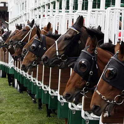 Mentalización Para Emprendedores Con Erik Seguel