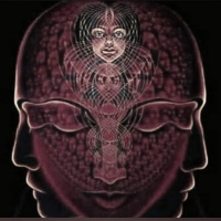 Cognitive dissonance - Here again