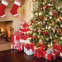 Students In The Hall -- Thoughts on the Holidays