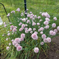 Long term projects, to gain back ground, lost during this virtual year.