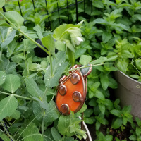 Using invitations + Loose parts to strengthen the well being of ourselves the kids in our lives.
