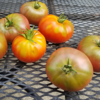 Schooling vs educational experiences