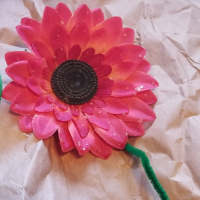 Math day inspiration to explore gardens