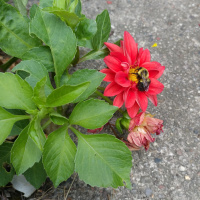 Engaging motor skills as you explore gardens.