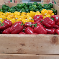 Loose parts boredom Buster for Spring!