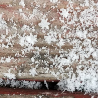 10 ways to have fun through the holiday season.