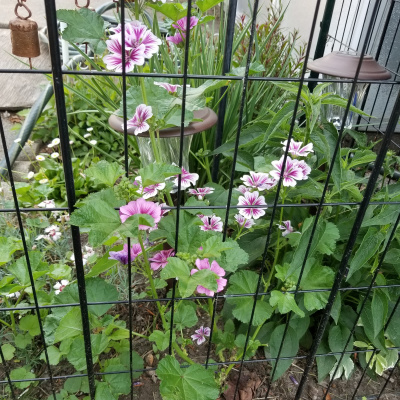 Invitations To Play - Learn - Grow!