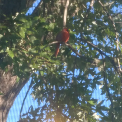 Invitations To Play - Learn - Grow!