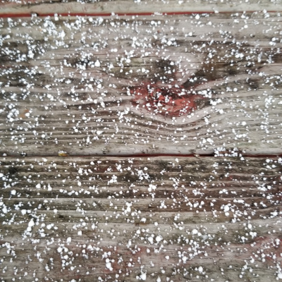 Invitations To Play - Learn - Grow!