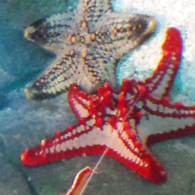 Invitations To Play - Learn - Grow!