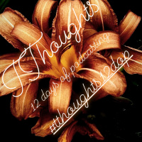 2019 Budgeting Goals - Podmas #9