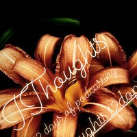 My hair is not your concern - Podmas #11