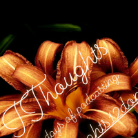 Screen for Life - Podmas #8