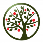 Orchard Community Church