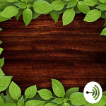 Class Divided And For Angela Podcast