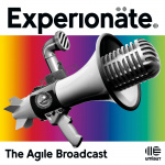 Agile  Selbststeuernde Organisationen