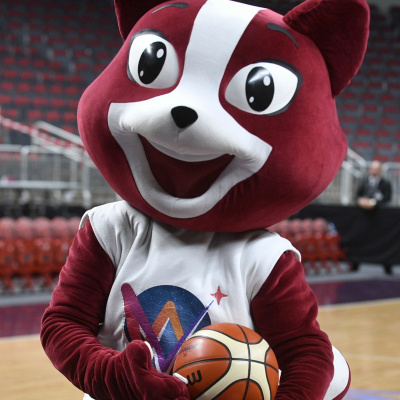 Sportacentrs.com Podksts