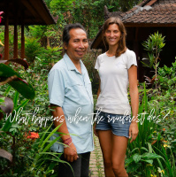 What happens when the rainforest dies?