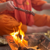 What is Yoga? a Wisdom Circle Satsang with Swamini Shraddhananda Saraswati 04272025