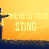Where Is Your Sting?