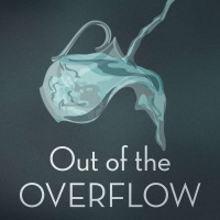 Out of the Overflow